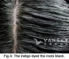 230210135749_Hair-Dyed with indigo-s.jpg